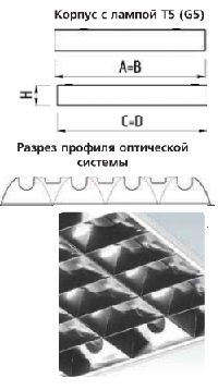 �������. �����